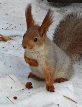 Погода в Хабаровском крае. Хабаровск