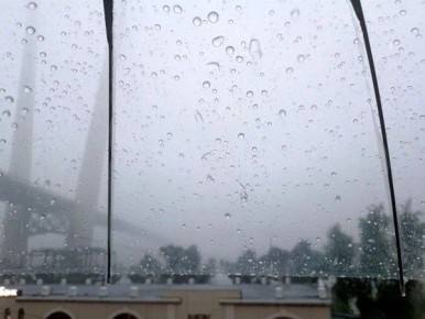 � ������ ������ �������� ��������� �����