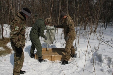 1 � ����������� ���� ��������� ������ ��������� ��������, ����� ������� �� �� ������ � ��������� ������ � �����