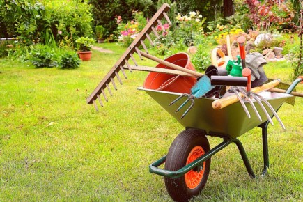 ����� ������� ��� ��������: ������ �� ������������ ����