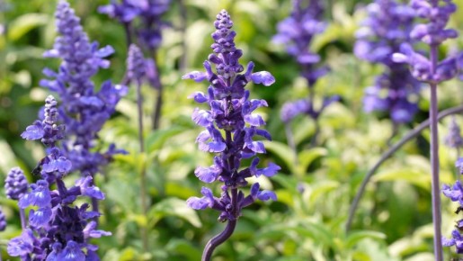 �������� ����� ������� �� ������ ��� ������ �� ����������� ������