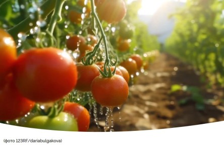 ��� ��������� ������������� ������ � ����: ������ ��� ������� ������