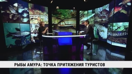 ������ ����������� �� ��������, � ��� ����� � ��������, ������� ����� ������������