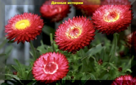 �������� ��� ���� ����������� ����������: ������� ��������� ������ ����