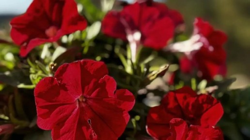 ����� � ������ ������������-��-����� ���� ����� ������� ����� 24 ����� ������