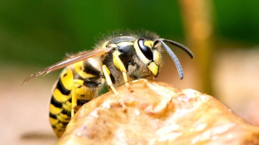 200 ����� ������ �� ���� ��� �������� ������������ ���������� � ������������