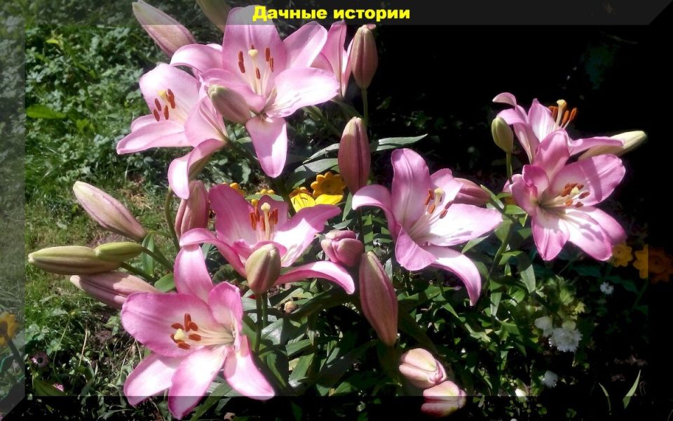 �����: ������� ����� ��� ���������� ����������