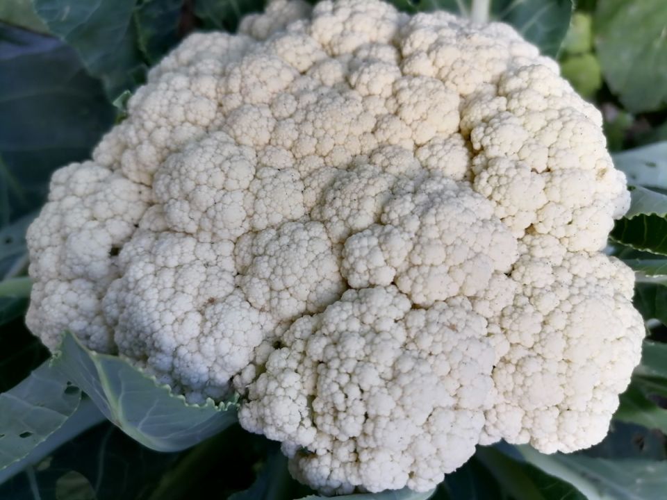 ��� ��������� ��������� ������� �������: ������ � �������