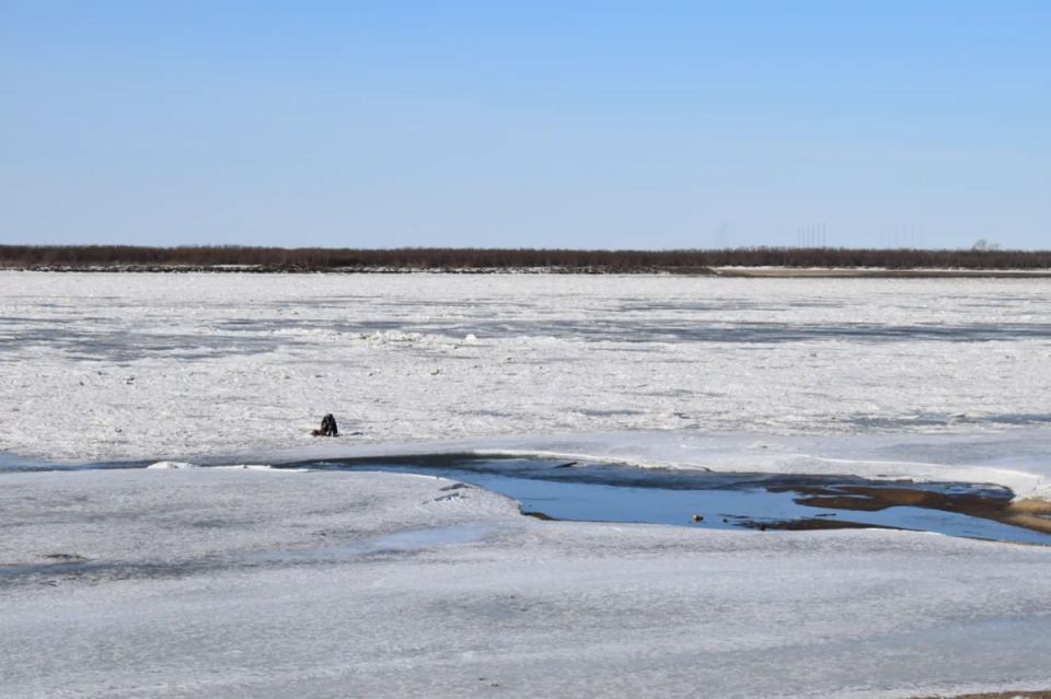 � ���������� ��������� ������������ �������-��������� � ������������ ������ �� �����