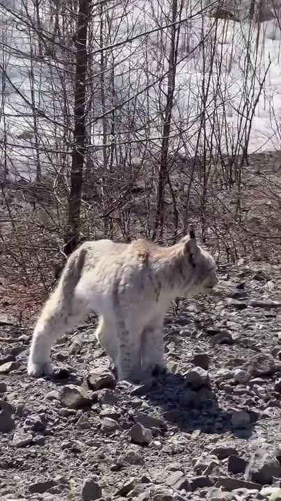 ���� ����� ������������� � ������ �� ������