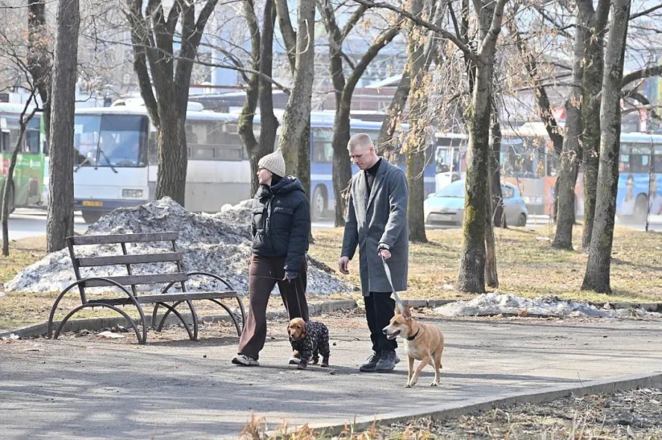 Стокилограммовые антивандальные скамейки установят в Хабаровске