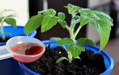 ������� ������: ������ �������� ������� ���������