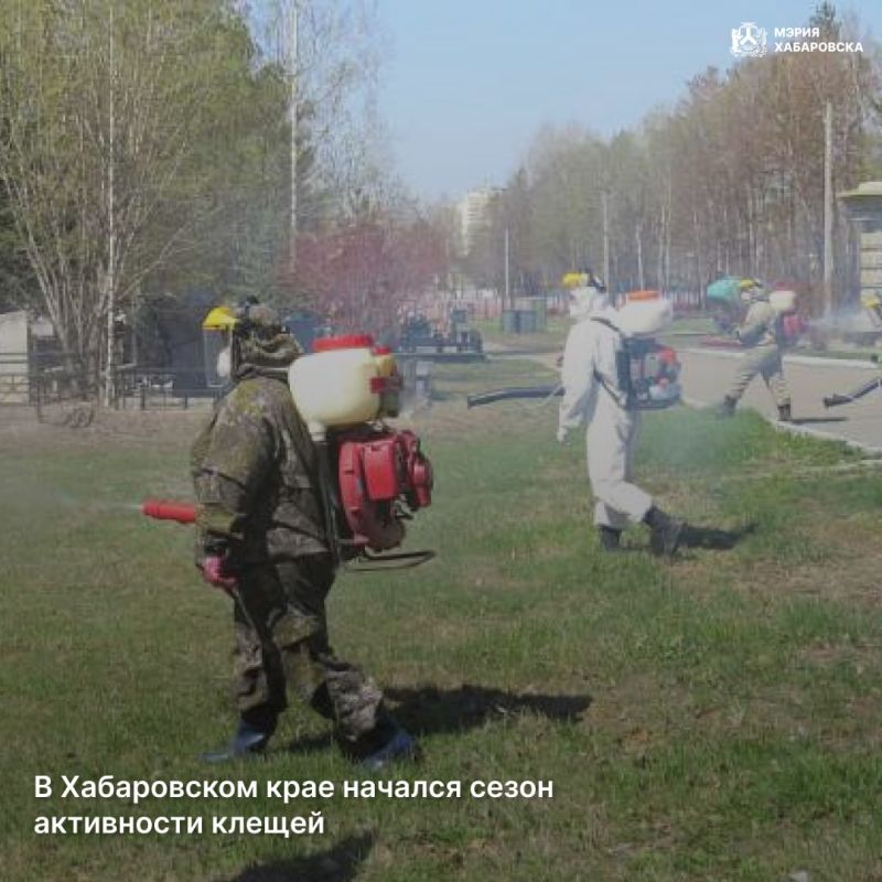 В Хабаровском крае начался сезон активности клещей