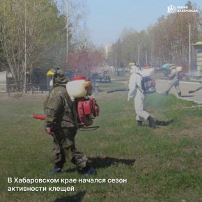 � ����������� ���� ������� ����� ���������� ������