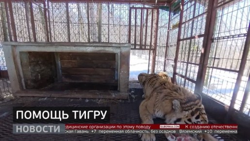 ������ ���� ��� ����� ������ ��������� � ����� ����������� ����� �������� �����