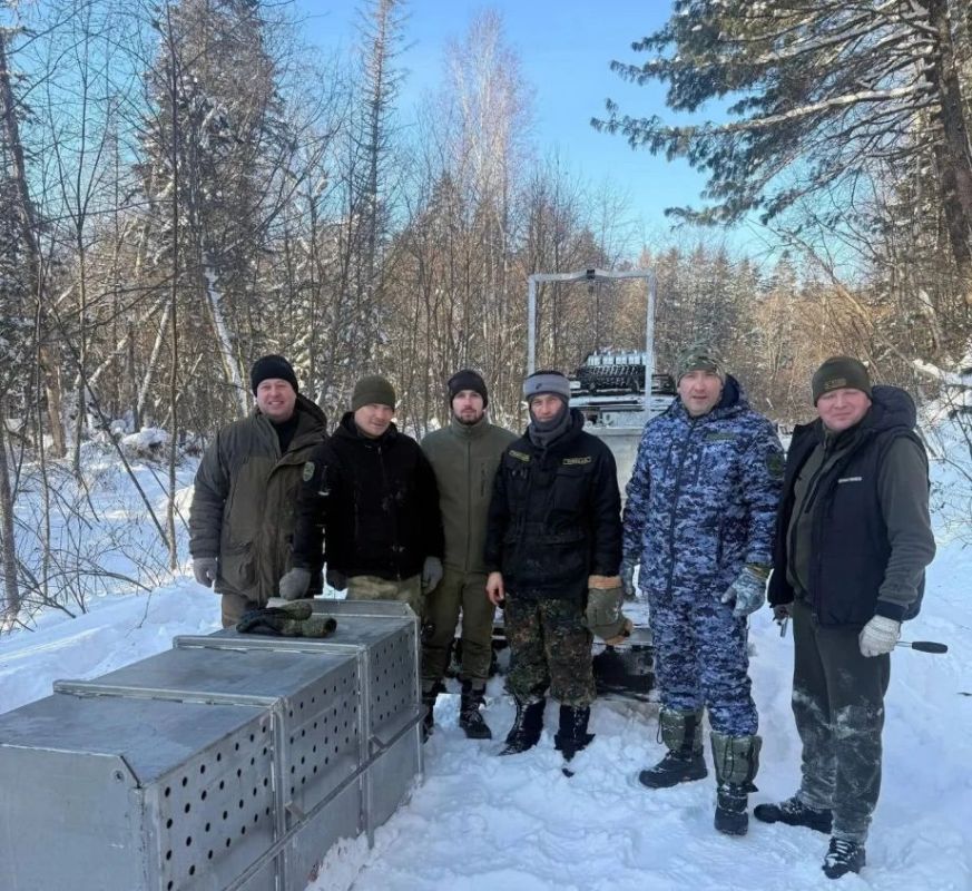 ����� �������� ������ �������� ��������� ���� � ���� ����