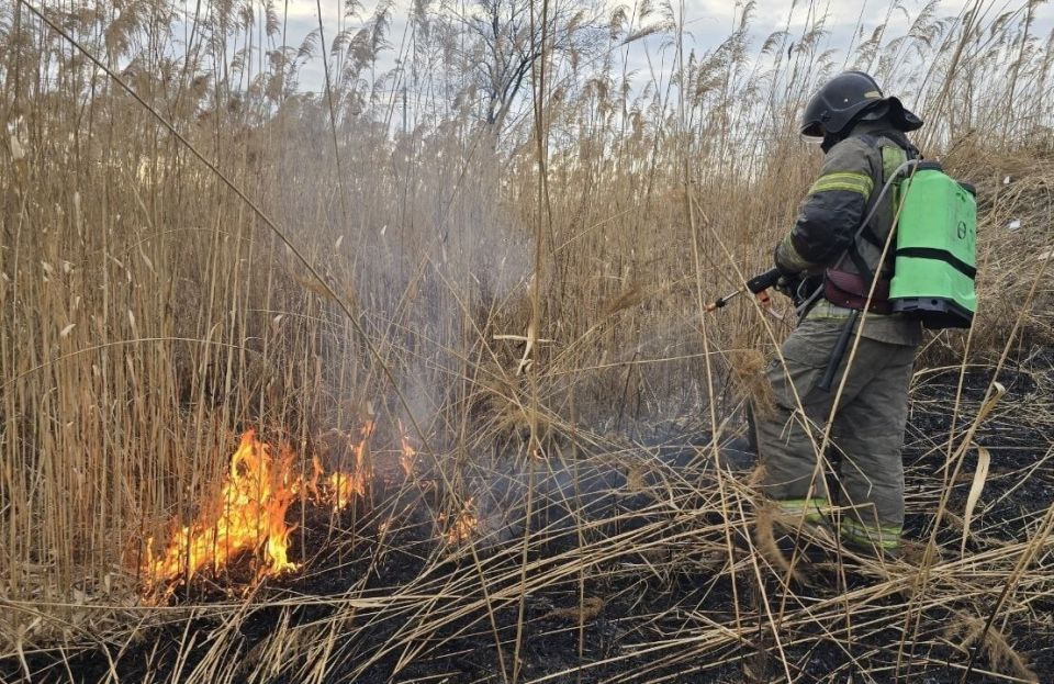 ����� ���������� �������� ��������� �������� � ����������