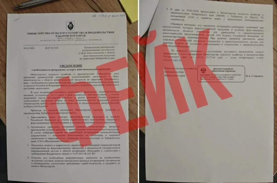 ������������ ������������ ���� �������� �������� ����������� � ����������� �������� ���������