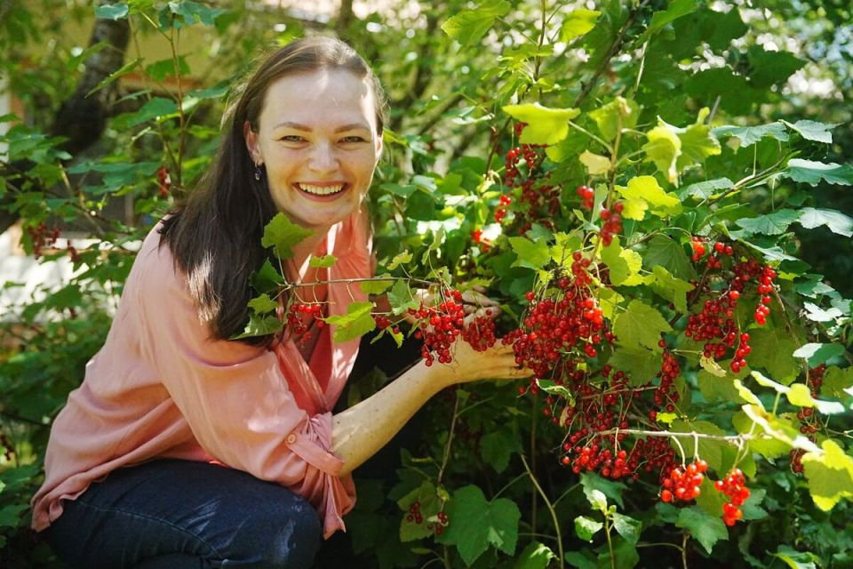 ��� ��������� ��������� �� ����������: ������� ���������