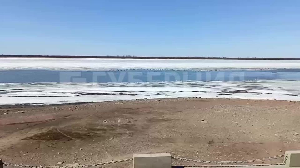 ���� ��������� �� ������ ������