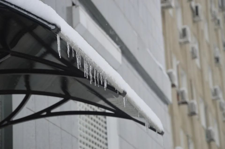 �������� ������ ������ �� �� ������������ ����