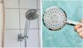 Эффективные способы очистки душевой лейки от известкового налета