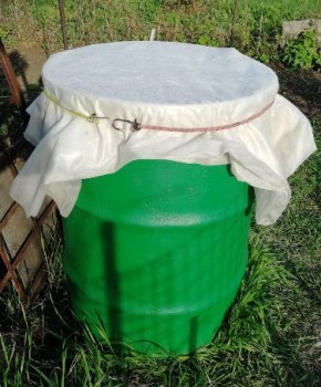 Огурцы в Сибири: секреты успешного роста от посева до сбора урожая