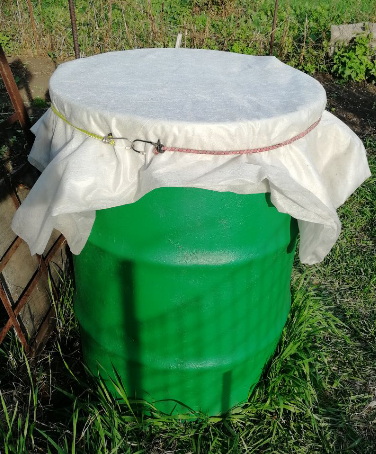 Огурцы в Сибири: секреты успешного роста от посева до сбора урожая