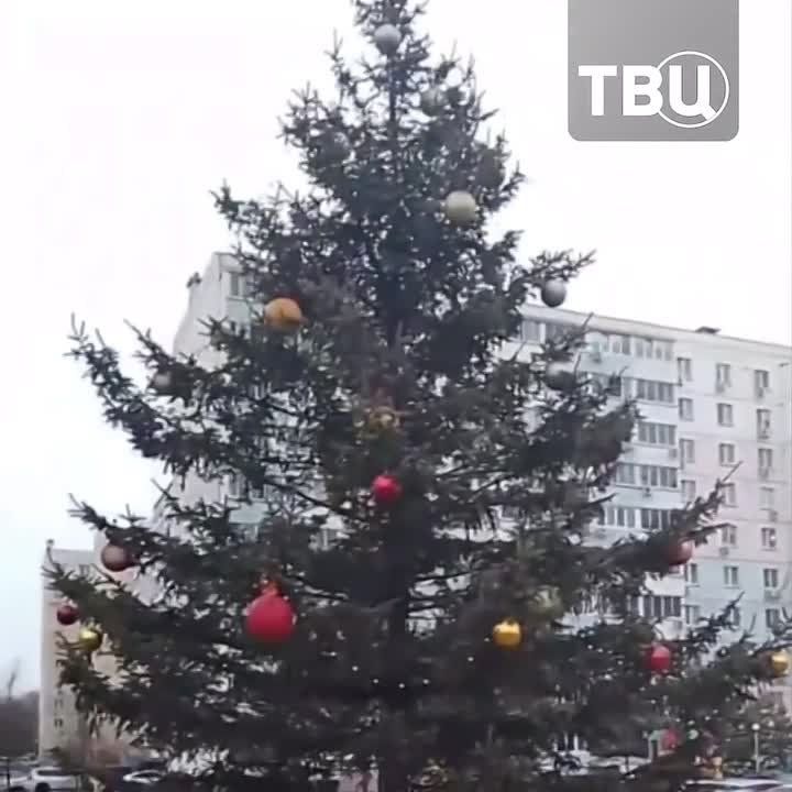 ����� ��� ���������� �������� � ���������� ���� � ������: ��������� � ����� ��� ��� � �� �����