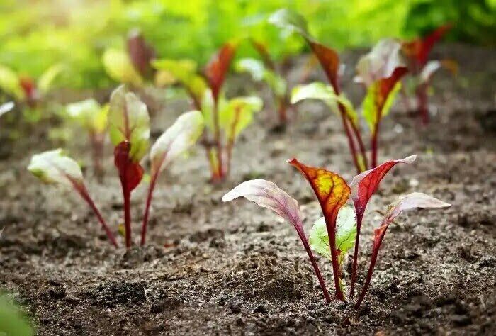 ��������� ������: ������� ��� �������� � ������