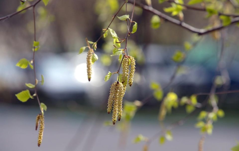 ������� ����� ���������� �� ��� � ������ �������� ����������� ��������