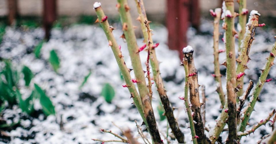 ������ ���� ��������� ������ � ��� ������ �� ������� ��������