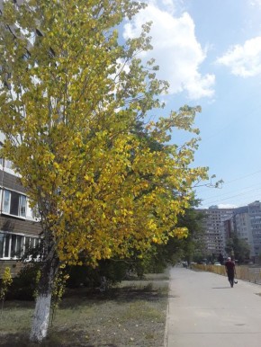 ��� � �������� ����: ��� ����������� �� �������� ������ ������� ���������� ������������ ����