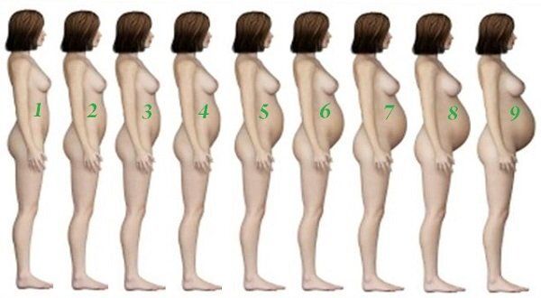 ��� ������ � �������� ����� �� ����� ������������