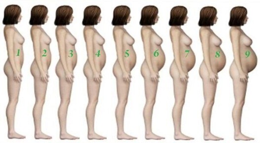 ��� ������ � �������� ����� �� ����� ������������