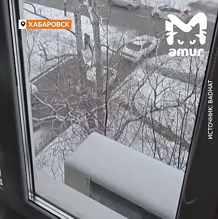 ������������ �������� �� ���������� � ��� ���� �� �������