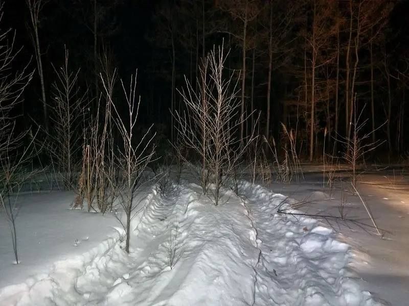 � ����������� ������ ���������� � ��� ��������� ���� � ���������� ����� ������ ���������� � ����� ������ ������ ������� 8,5 ��� ������