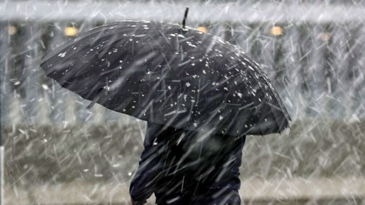 ������ �� ���-������� ������������ ���� ����������� 7 ������