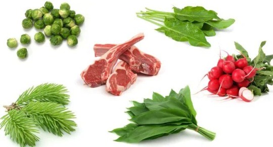 ������: ����� �������� �����������