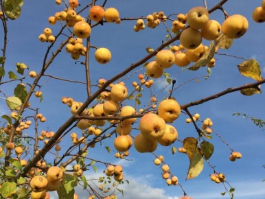 ������ ������� ��� ����� ������: ��� �������� ����� � �������� ������