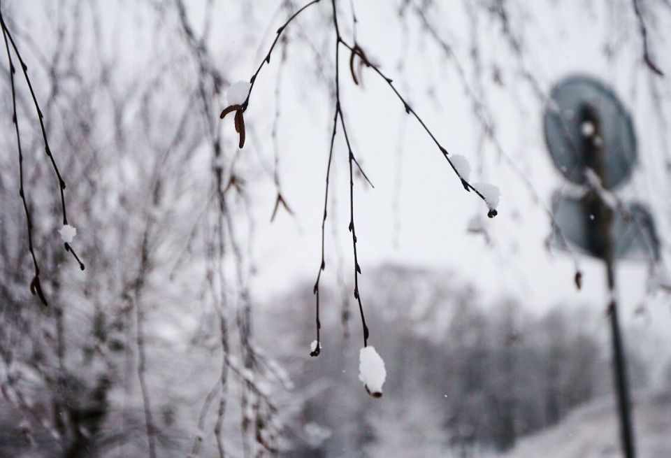 Циклон продолжит влиять на погоду в Хабаровском крае 7 апреля