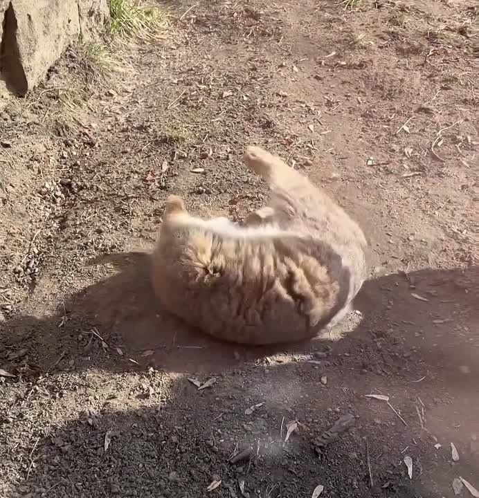 ����� ������� �� ����������� �������� ������� ����, ��� ����� ��������