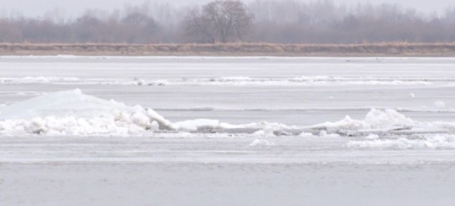 �� ������ ������� �������. ����������� �� ��� ���� ������� ���������� ������