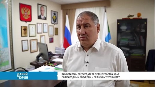 ����������� ������������ �������� ������������� �� ��������� �������� � ��������� ��������� ����� ����� �������� ������� ������ ��� ������� ����� ���������� II �������