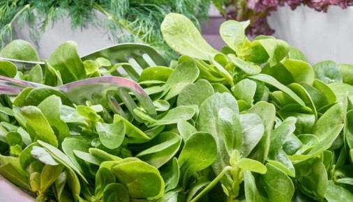 ����������� �������: ��������� �������� � �������� ��������������