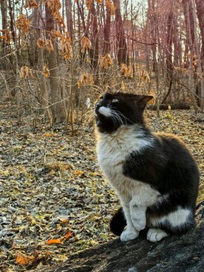 Погода в Хабаровском крае. Хабаровск