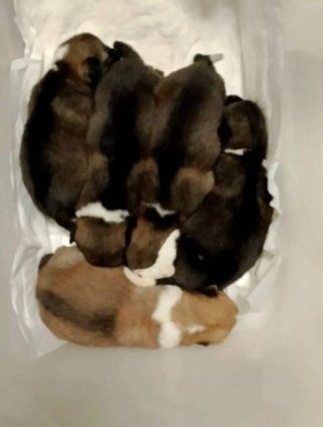 � ������������-��-����� ��������� ���������������� ������� ����������� ������ ���� �� �����