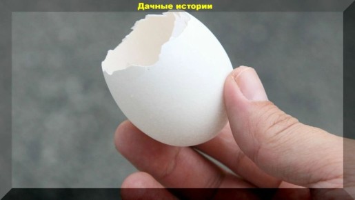 ����������� ����: ������������� �� ������ �������� ������� ��� ����?