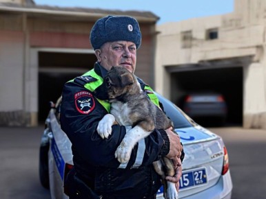 ������� ������ ������ ���� ������� �� ������������