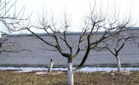 ��� ��������� ������� ����� �������� � ������ ������